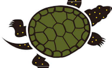 logo tortue de l'association Cistude Nature