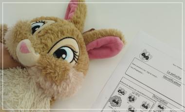 Peluchologie Peluchologie