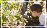 Enfant qui jardine
