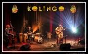 Concert du mois: Kolingo – Musiques Latines
