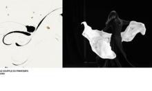 Le souffle du printemps exposition Anne-Flore Labrunie