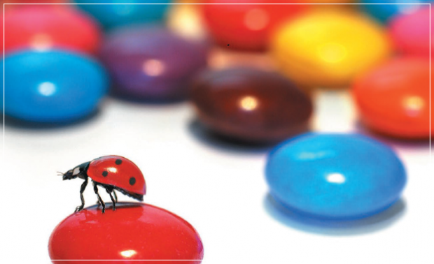 Deux mois de Gourmandises à Talence